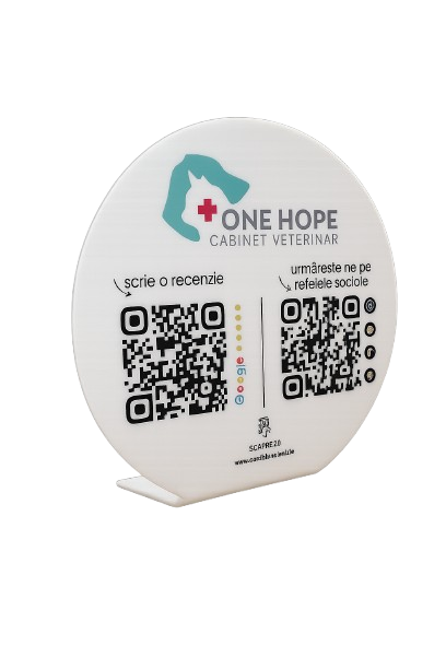 STAND RECENZII GOOGLE +URMARITORI SOCIAL MEDIA ROTUND